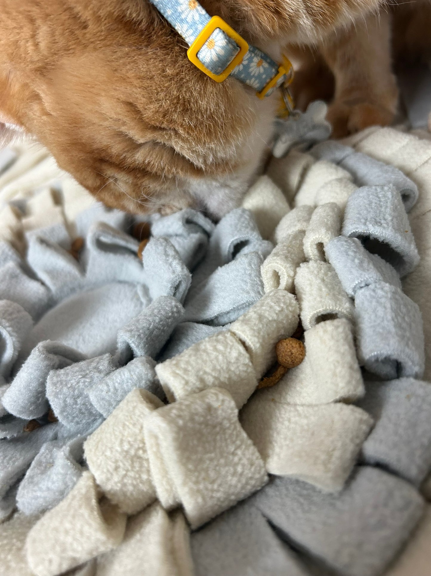 Cat engaging natural foraging instincts on The Nest Mat enrichment mat
