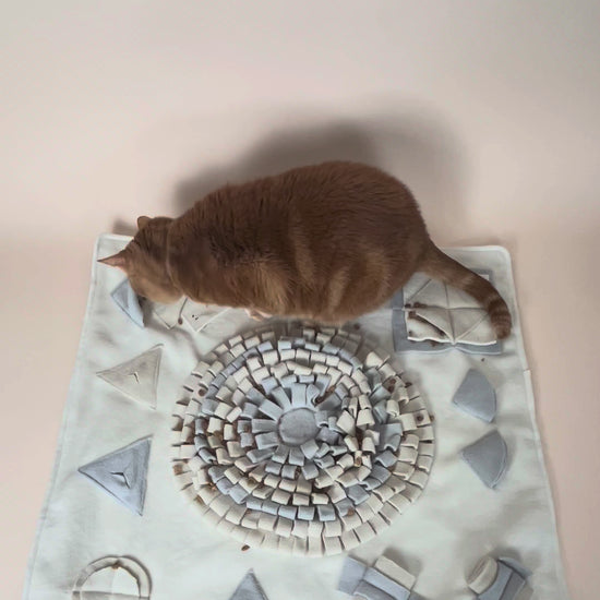 Cat calmly foraging on The Nest Mat enrichment mat during slow feeding